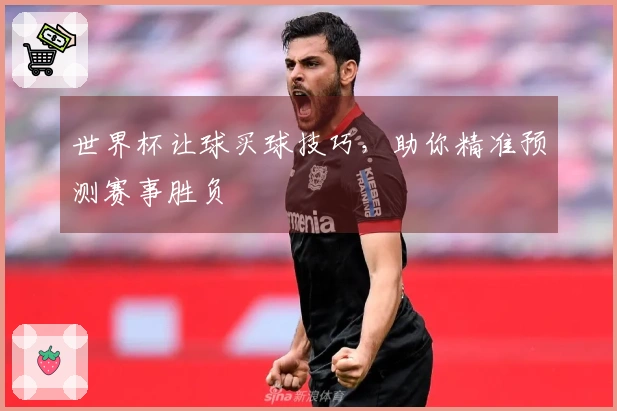 世界杯让球买球技巧，助你精准预测赛事胜负
