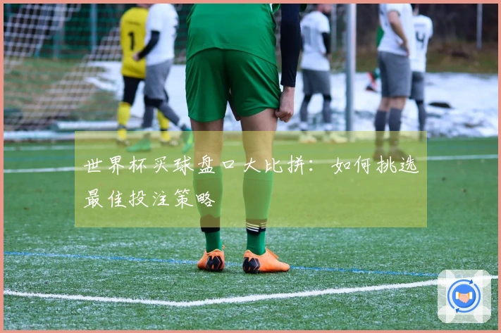 世界杯买球盘口大比拼：如何挑选最佳投注策略