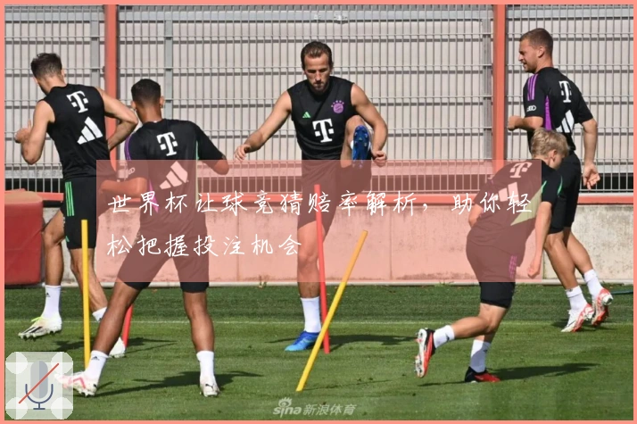 世界杯让球竞猜赔率解析，助你轻松把握投注机会